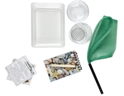 About the Seashore - Rockpools & Beaches<Lagoon Clearance