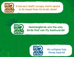 Amazing Animals - Rank Up!<Skillmatics Online