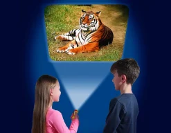 Animal Torch and Projector<Brainstrom Toys Best