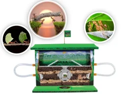 Ant Jungle - Project<Wild Science Discount