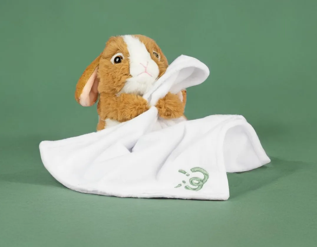 Baby Bunny with Blanket - So Cuddly!<Living Nature