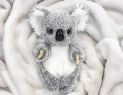 Baby Koala - Super Cute & Cuddly!<Living Nature