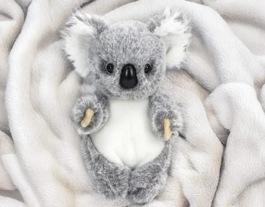 Baby Koala - Super Cute & Cuddly!<Living Nature