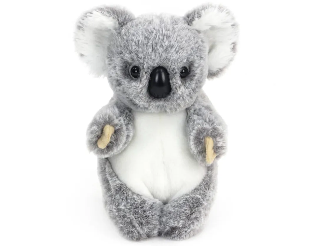 Baby Koala - Super Cute & Cuddly!<Living Nature