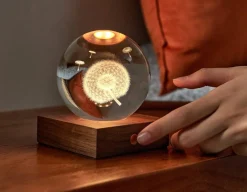 Dandelion Crystal Light - 3D Effect<Gingko New