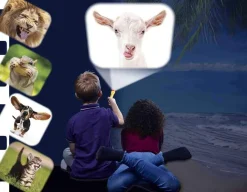 Funny Animals Torch & Projector<Brainstorm Toys New