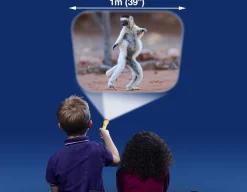 Funny Animals Torch & Projector<Brainstorm Toys New