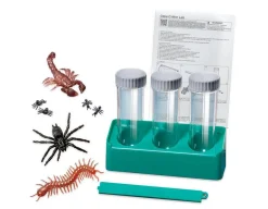 Glow Critter Lab - Spider, Scorpion & Centipede<4M Clearance