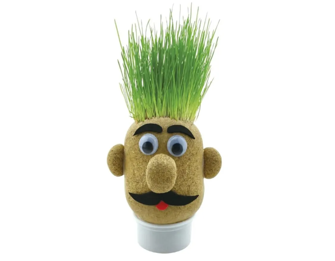 Grass Head - Grow Your Own<Funtime Gifts Best