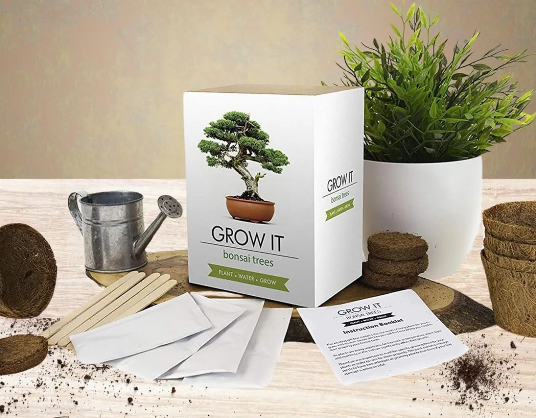 Grow It - Bonsai Trees<Gift Republic Online