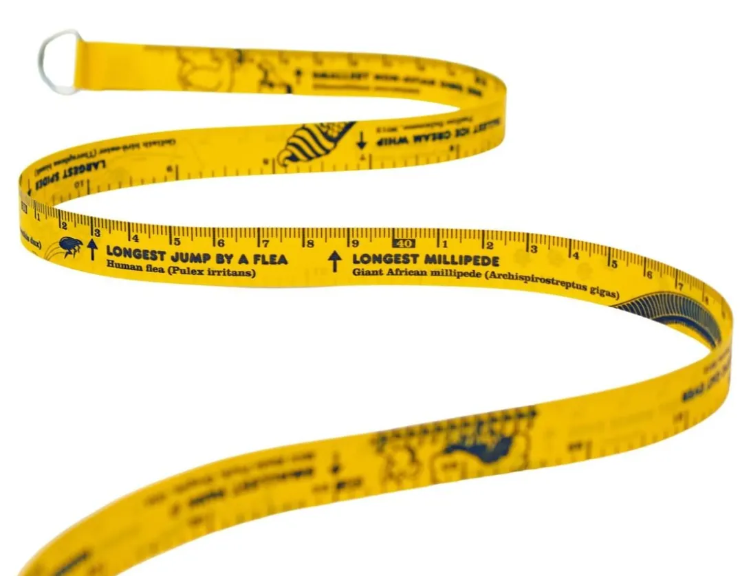 Guinness World Records Measure - Did you Know?<Suck UK Hot