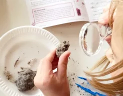 Owl Pellet Mystery - Science Lab Kit<Hand 2 Mind Sale