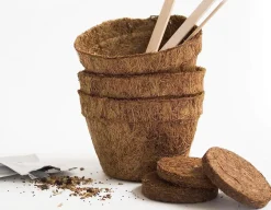 Radical Rainbow Veg - Sow & Grow your 5 a day!<Gift Republic Sale