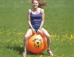 Retro Space Hopper - Hop 'til you drop!<Funtime Gifts Sale