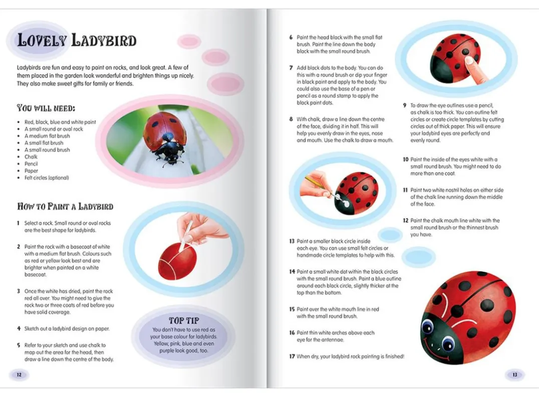 Rock Painting - Hide & Seek Fun to Share<Hinkler Sale