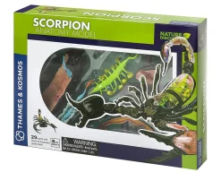Scorpion Anatomy 3D Model - 29 Pieces<Thames and Kosmos New