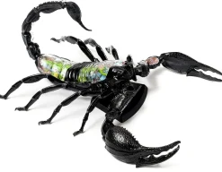 Scorpion Anatomy 3D Model - 29 Pieces<Thames and Kosmos New